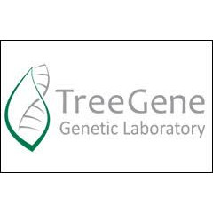Генетическая лаборатория "Treegene" медициналық орталығының суреті