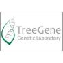 Генетическая лаборатория "Treegene" медициналық орталығының суреті