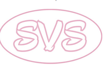 "SVS Клиника имени Савинова В.М." медициналық орталығының суреті