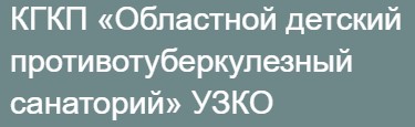 Фотография медцентра КГКП «Областной детский противотуберкулезный санаторий»