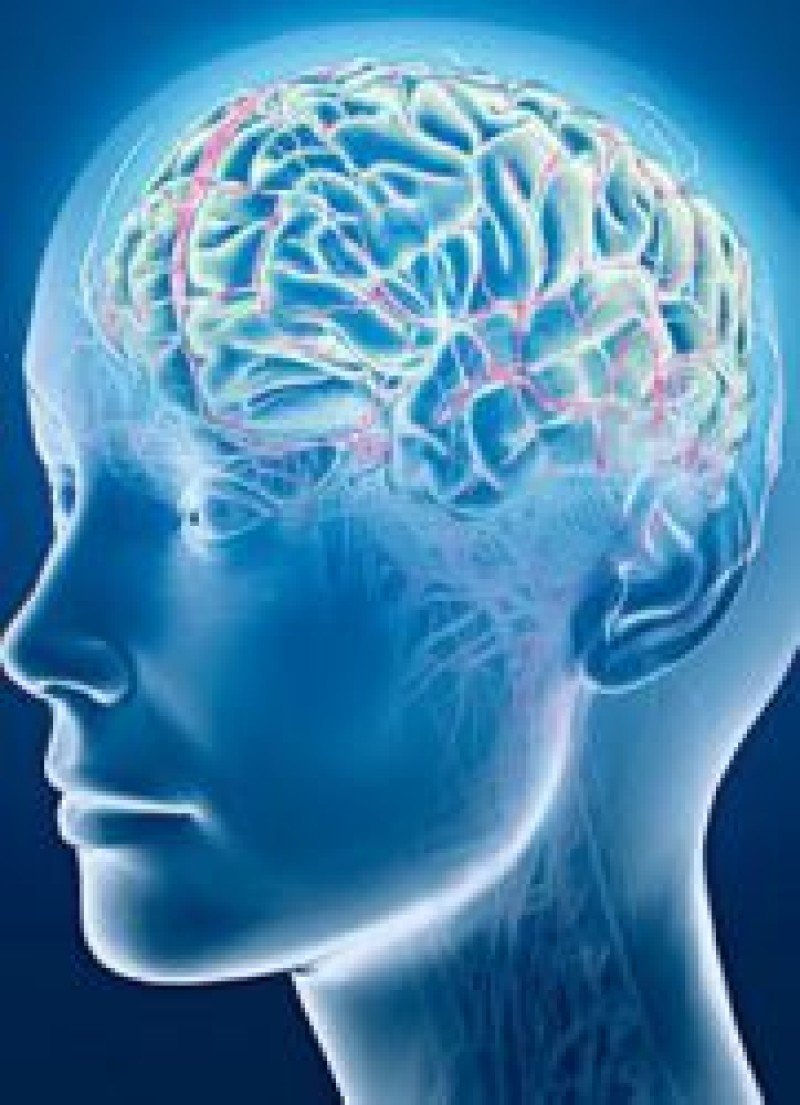 Хроническая ишемия головного мозга - признаки, причины, симптомы, лечение и  профилактика - iDoctor.kz