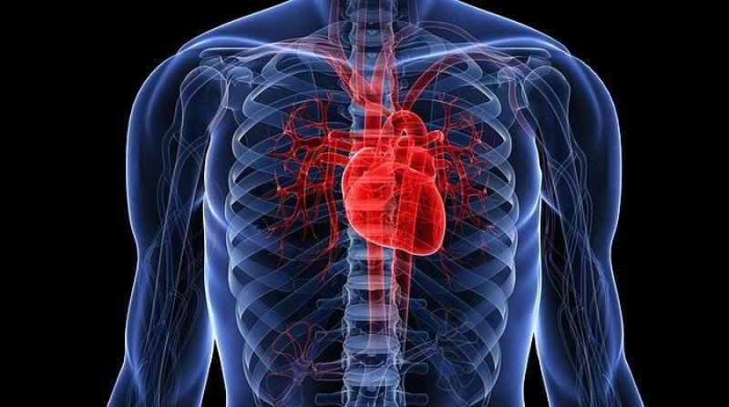 Опухоли сердца - 2