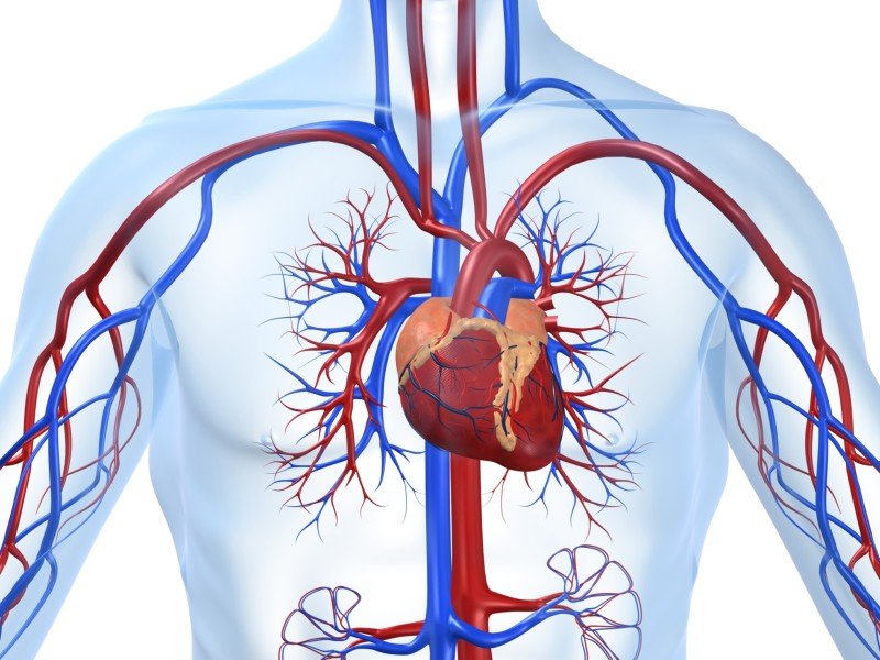Постинфарктный кардиосклероз - 1